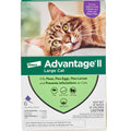 Elanco Advantage II for Large Cats over 9 Lbs - 6 Pack - FLEA TREATMENT CONTROL