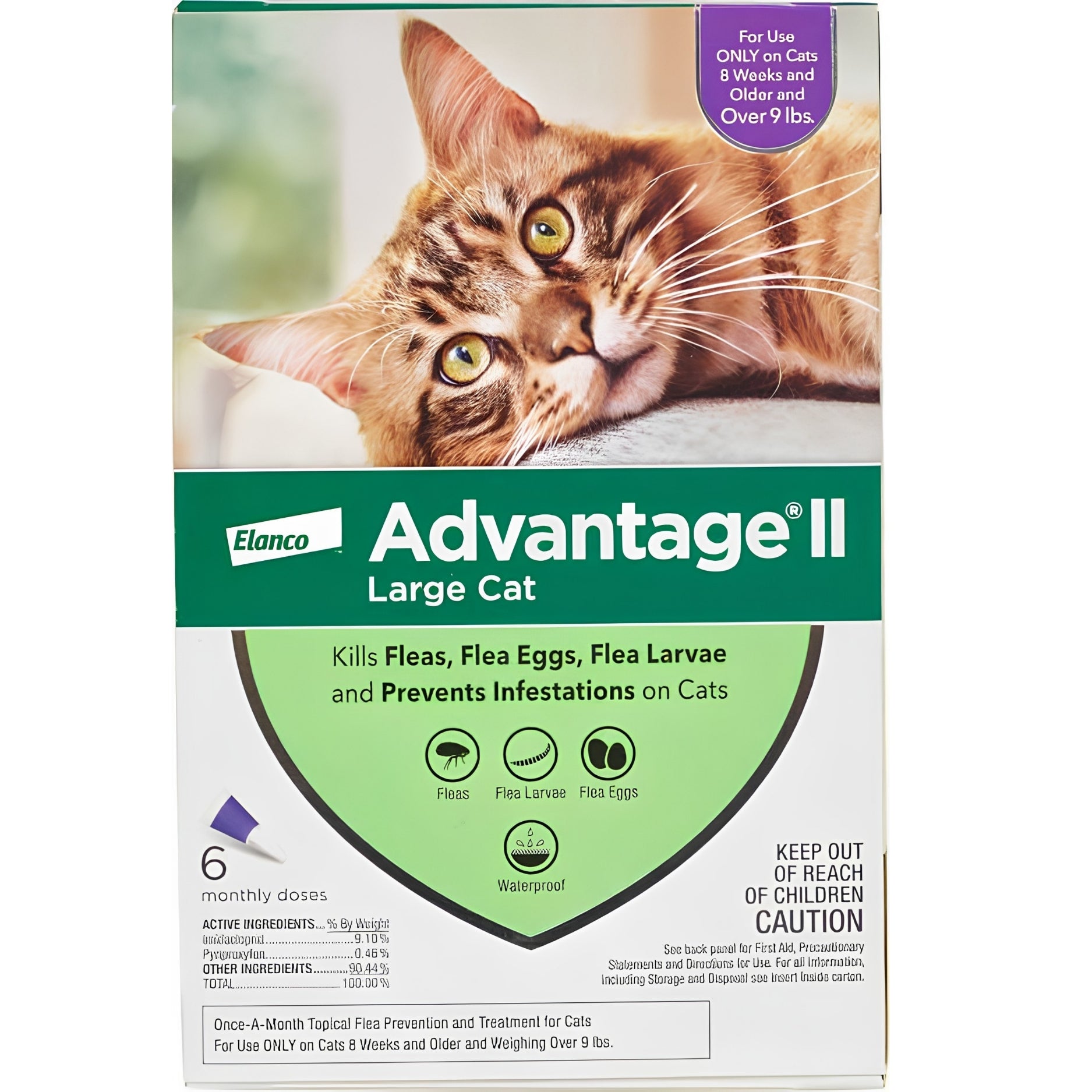 Elanco Advantage II for Large Cats over 9 Lbs - 6 Pack - FLEA TREATMENT CONTROL